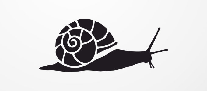 Black and white illustration of a snail